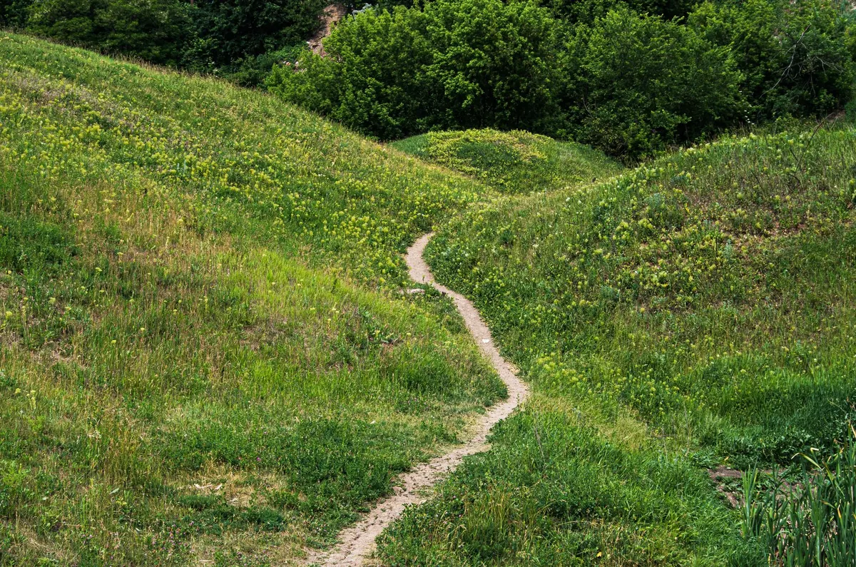 Walking the South Downs Way: A 5-Day Itinerary for First-Time Long-Distance Hikers